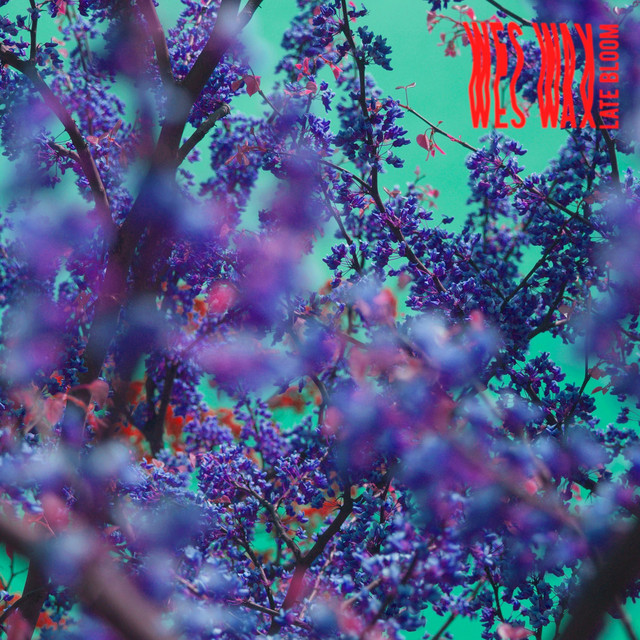 Late Bloom cover art