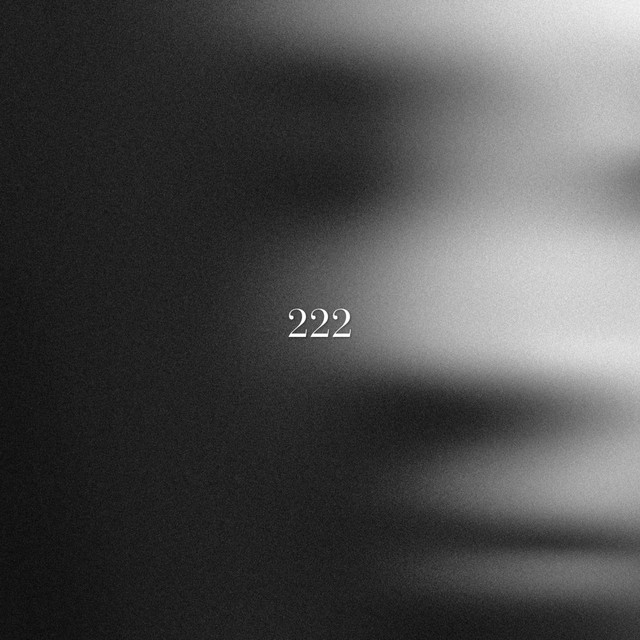 222 cover art
