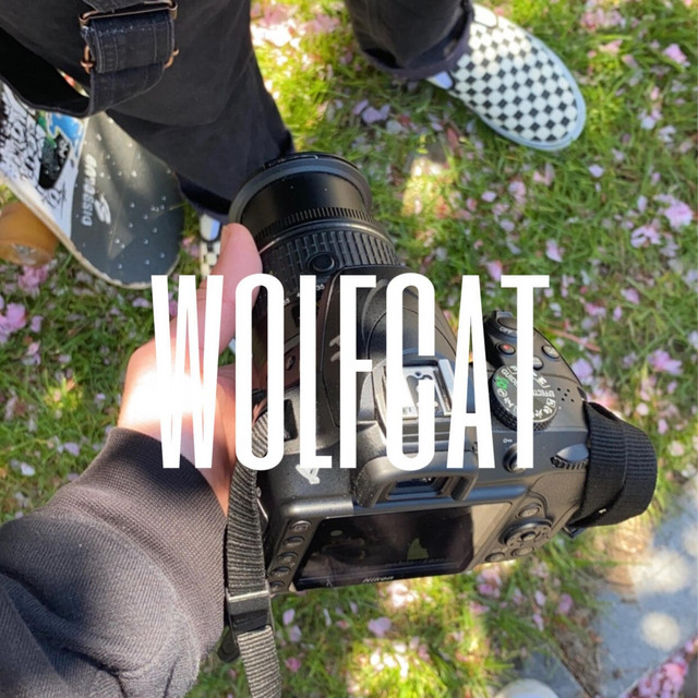 Wolfcat cover art