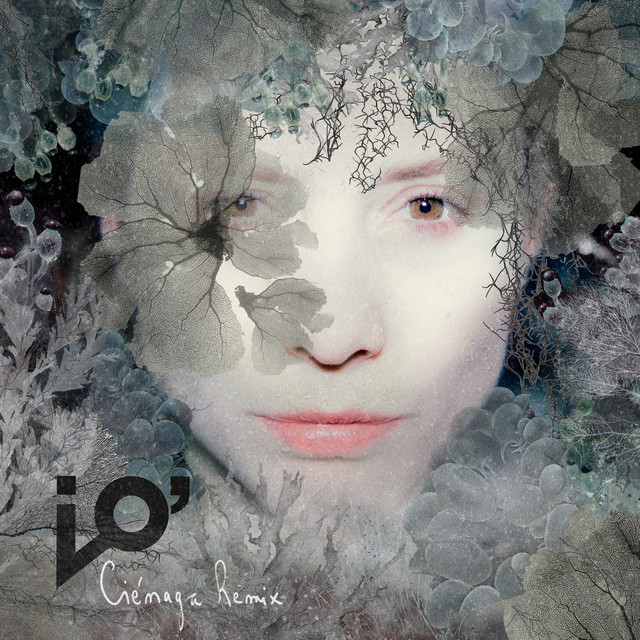 Ciénaga (Remix) cover art