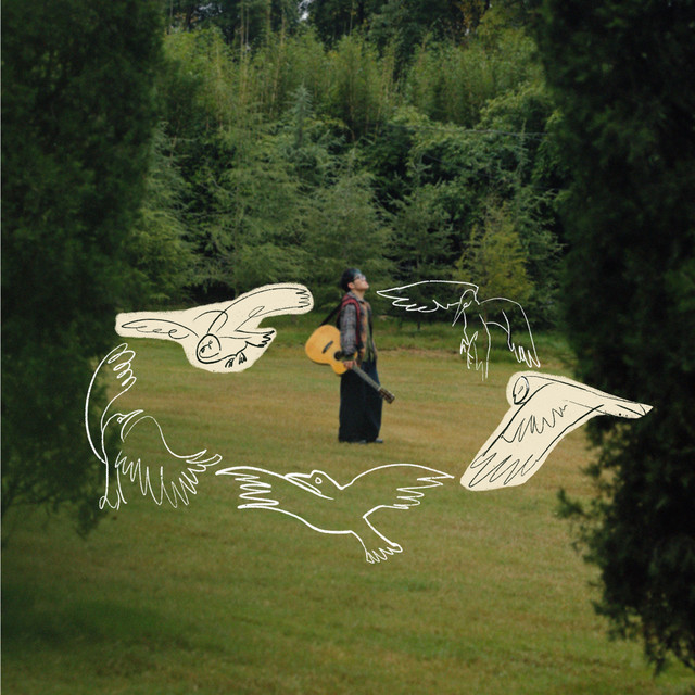 拾鸟集 cover art