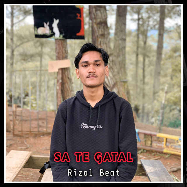 DJ SA TE GATAL (REMIX) cover art