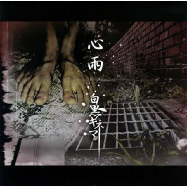 心雨 cover