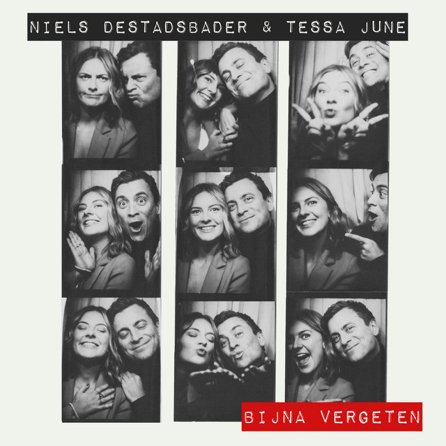 Bijna Vergeten cover art