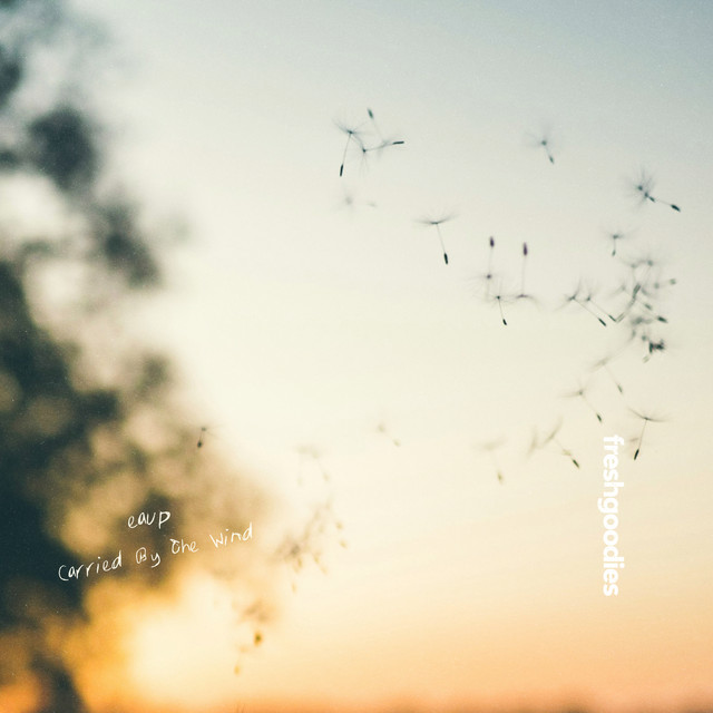 Carried By The Wind album image