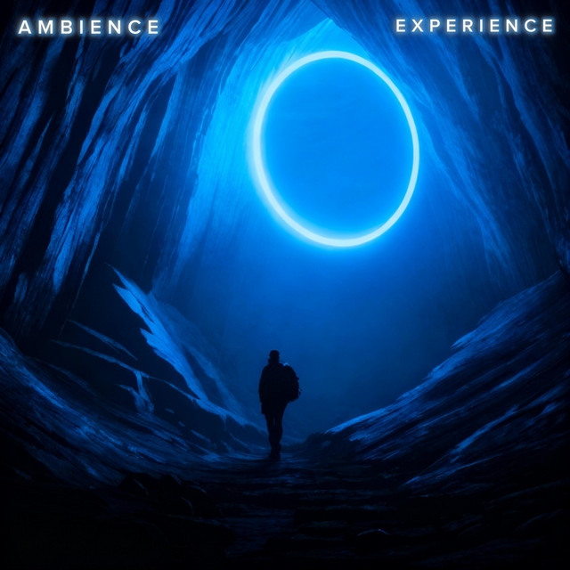 Experience cover art