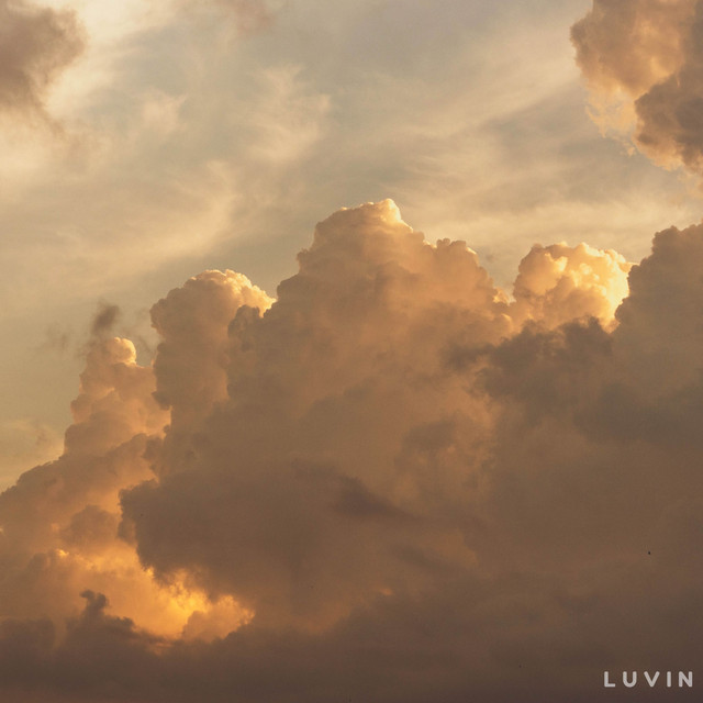 Veil of Light