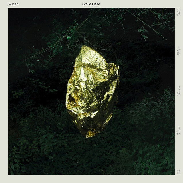 Stelle Fisse cover art