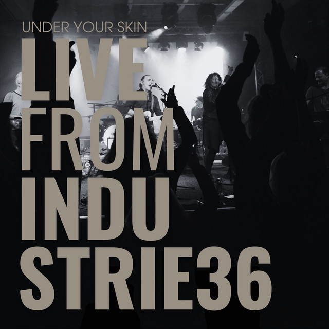 Album artwork for Twenty Seven by Under Your Skin