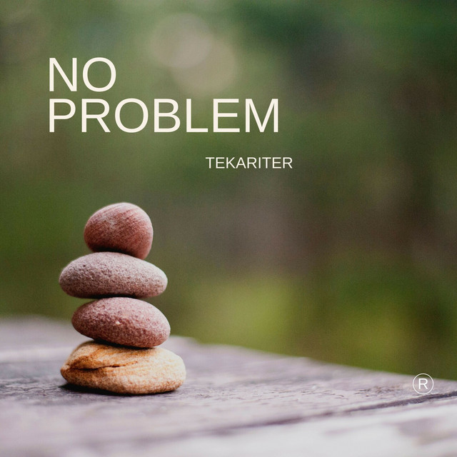 No Problem cover art