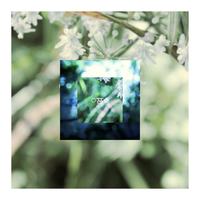 Moss's Lilypad cover
