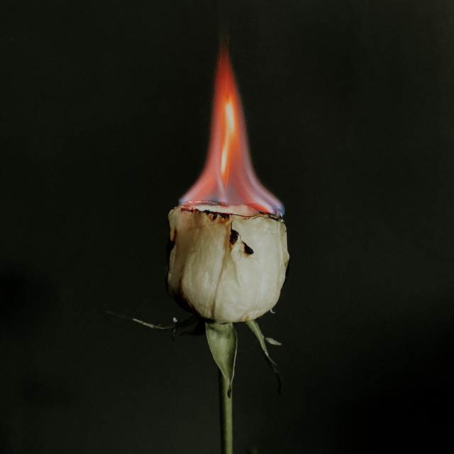 How to forget you? album image