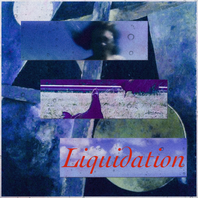 Liquidation cover art