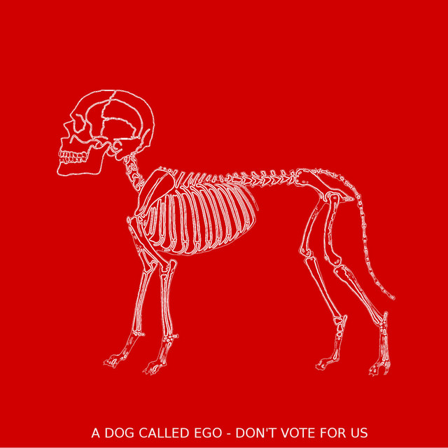Don´t Vote For Us (single)