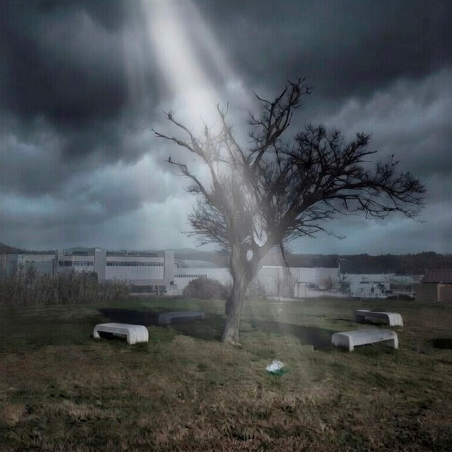 Rayo de Luz