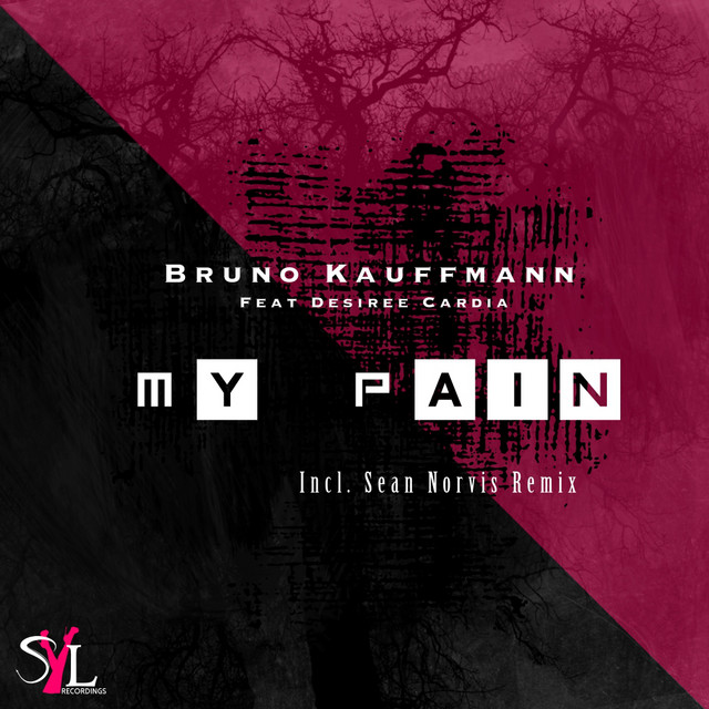 My Pain - Radio Edit cover art