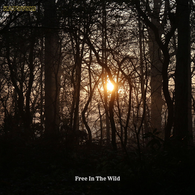 Free in the Wild cover art