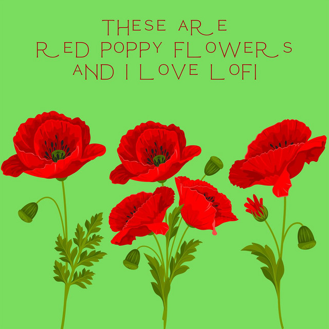 These Are Red Poppy Flowers and i Love Lofi cover