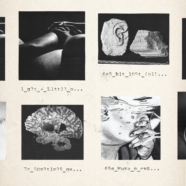Human cover art