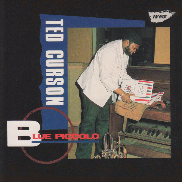 Blue Piccolo cover art