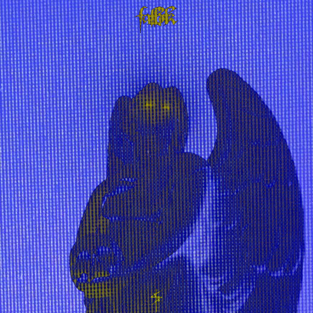 FALLBACK cover art