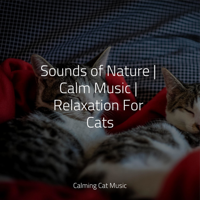 Sounds of Nature | Calm Music | Relaxation For Cats - Album by Cat ...