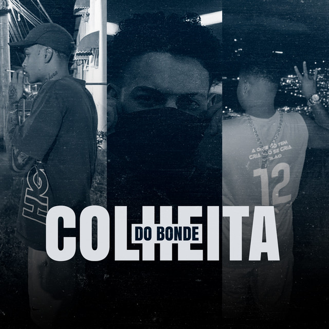 Colheita do Bonde