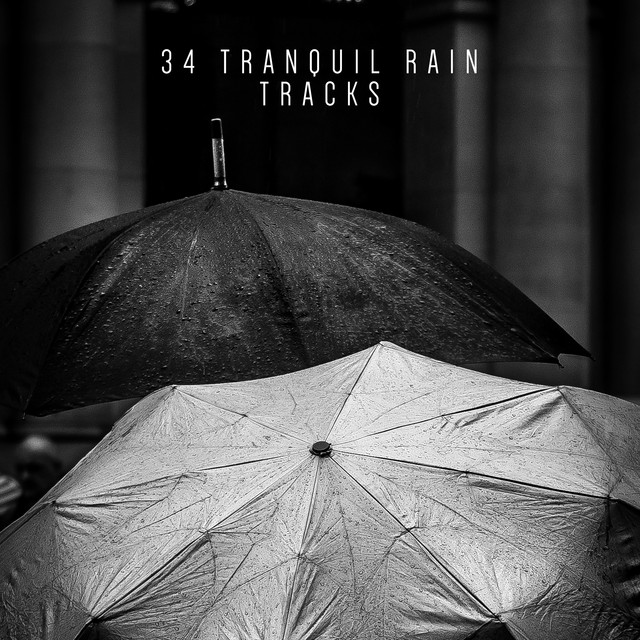 34 Tranquil Rain Tracks cover art