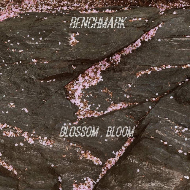 Blossom, Bloom cover art