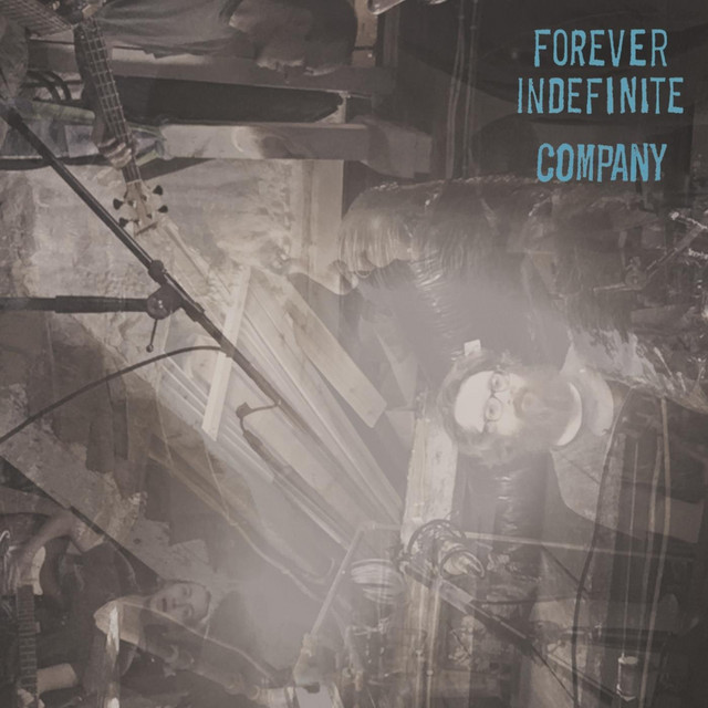 Forever Indefinite cover art