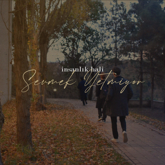 Sevmek Yetmiyor cover art