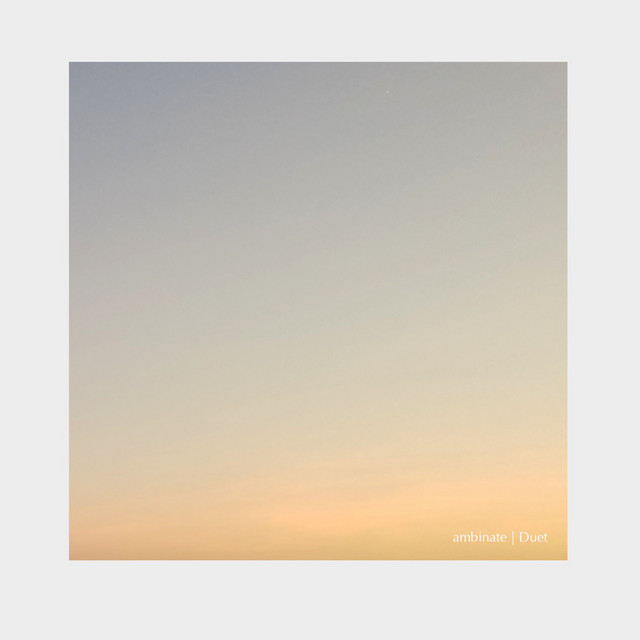 Duet cover art
