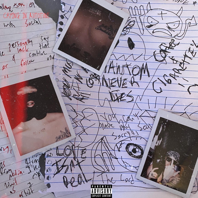 Crying in Autotune cover art