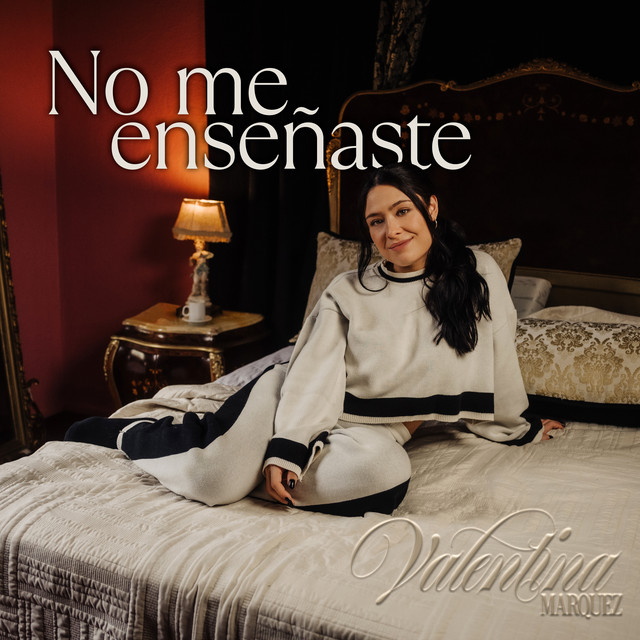 No Me Enseñaste