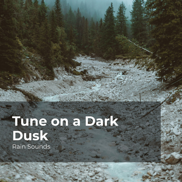 Tune on a Dark Dusk cover art