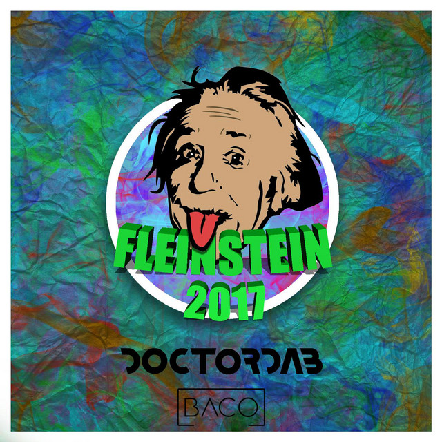 Fleinstein 2017 cover art