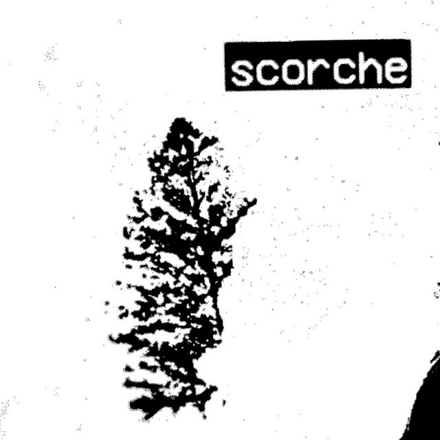 Scorche cover art