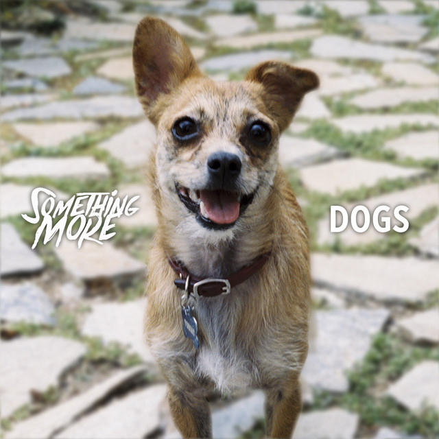 Dogs