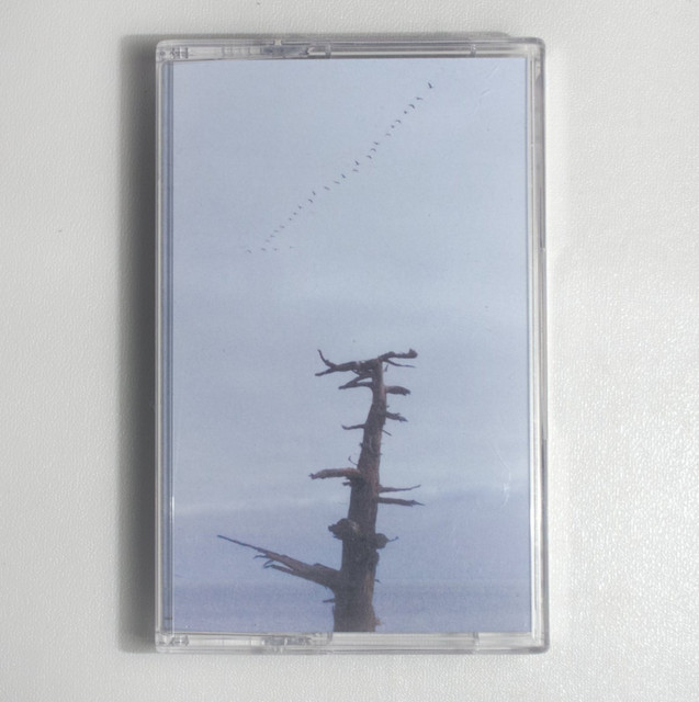 Martyan Cuts cover art