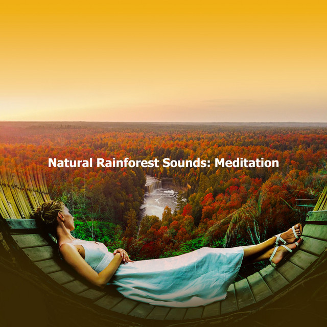Natural Rainforest Sounds: Meditation ! ! ! - Album by Calming ...