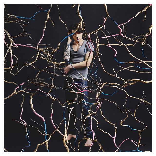 Cover du titre Arbre de vie