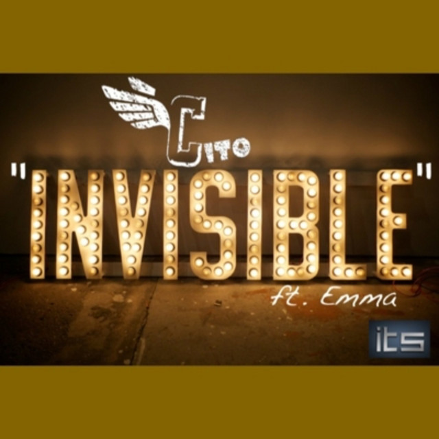 Invisible cover