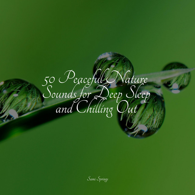 50 Peaceful Nature Sounds for Deep Sleep and Chilling Out - Album by ...