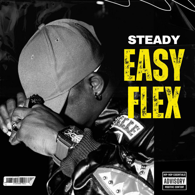 EASY FLEX cover art
