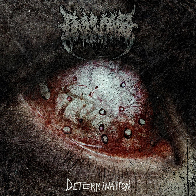 Обкладинка: Determination — Gore Carnage