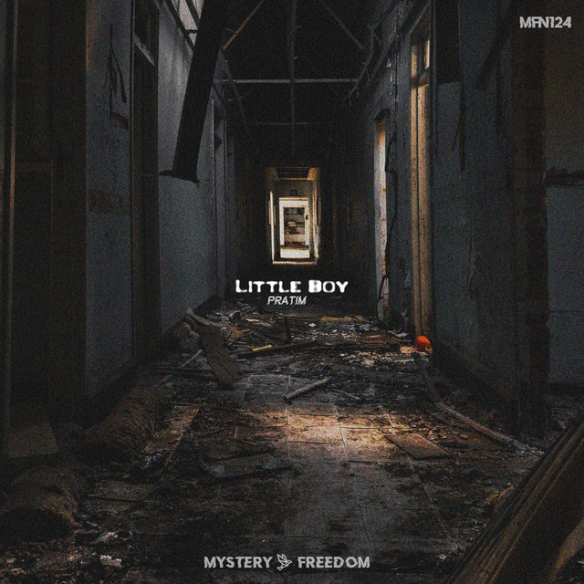 Little Boy cover art