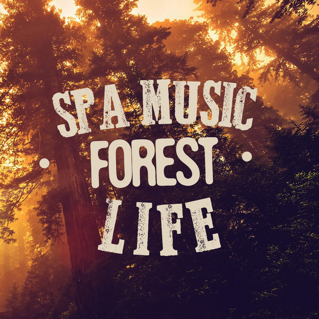 Spa Music: Forest Life cover art