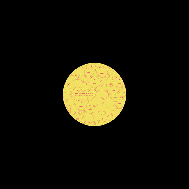 Wild Combination cover art
