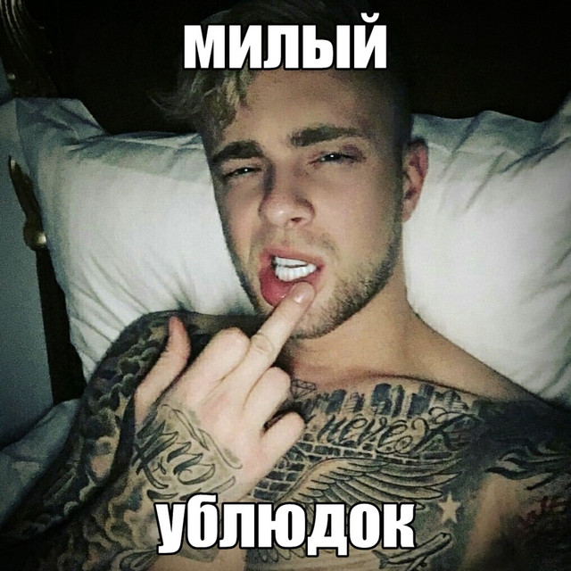 милый ублюдок cover