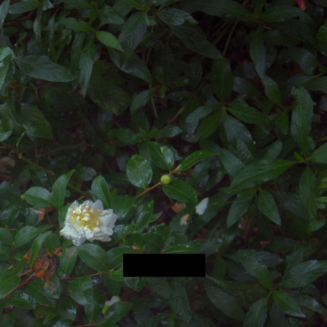 Songs_2 cover art